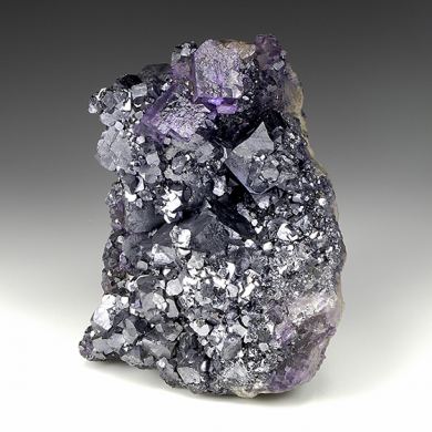 Fluorite with Galena