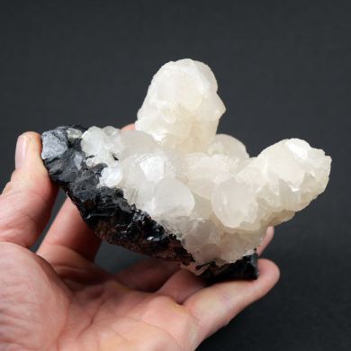 Calcite on Sphalerite - Trepca, Kosovo