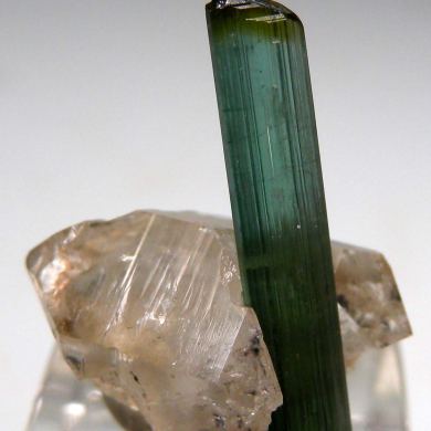 Tourmaline on Quartz