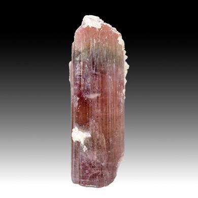 Liddicoatite-Elbaite