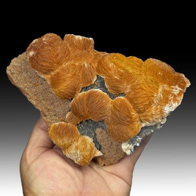 Barite with Wulfenite