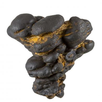 Manganese Biominerals (Todorokite, Romanechite, Birnessite)
