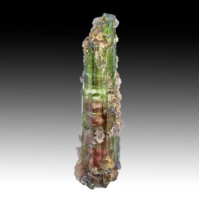 Elbaite with Lepidolite