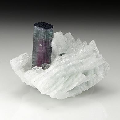 Elbaite with Albite