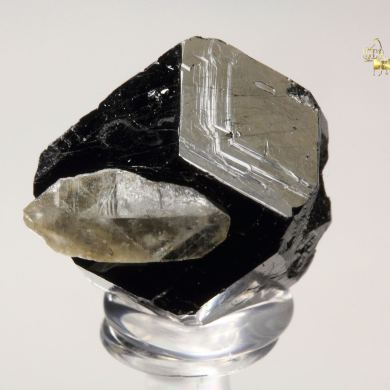TOURMALINE var. DRAVITE, QUARTZ