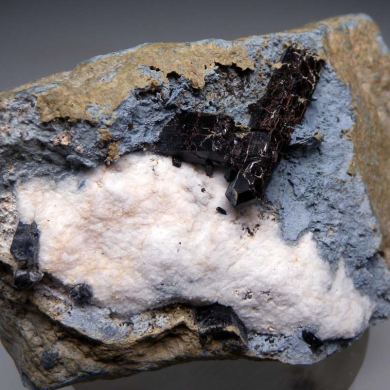 Neptunite
