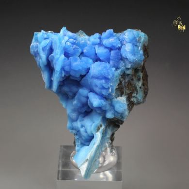 EVANSITE
