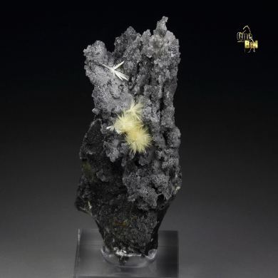 VALENTINITE