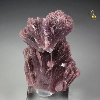 LEPIDOLITE