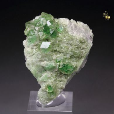 gem GARNET var. GROSSULAR with GREEN CHROMIAN PHANTOMS, DIOPSIDE