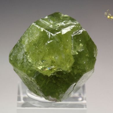 gemmy GARNET var. ANDRADITE var. DEMANTOID