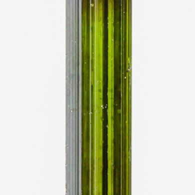 Tourmaline