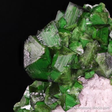 Cuprian Adamite