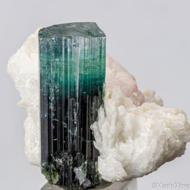 Indicolite on Albite