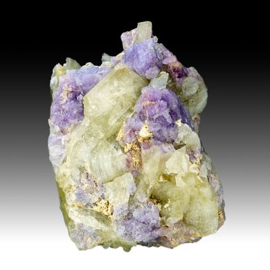 Sodalite with Winchite