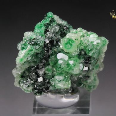 GARNET var. GROSSULAR with GREEN CHROMIAN PHANTOMS, CHROMITE