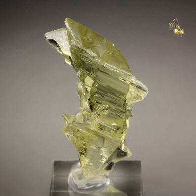 gem SPODUMENE