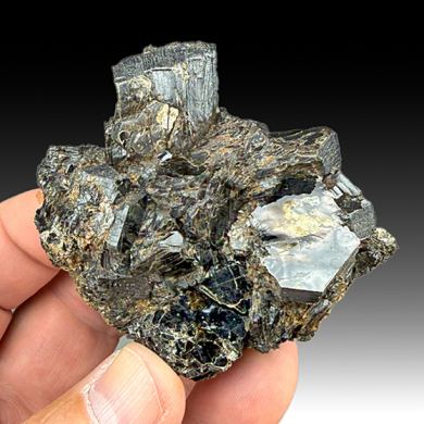 Biotite