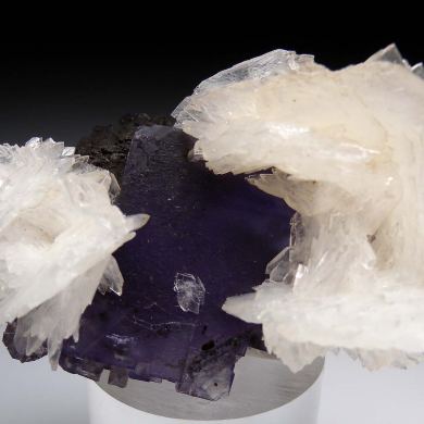 Barite, Galena on Fluorite