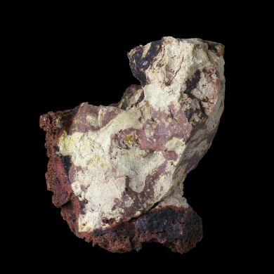 Limestone xenolith 