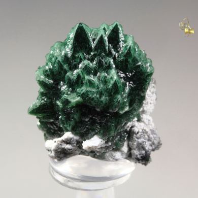 ZINCOLIVENITE