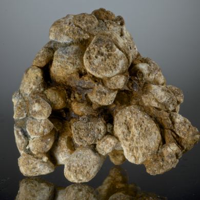Meteorite - Pallasite with Magnetite - unusual