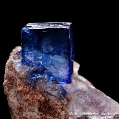 Halite on Sylvite