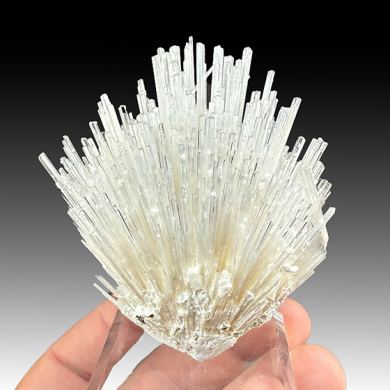 Scolecite