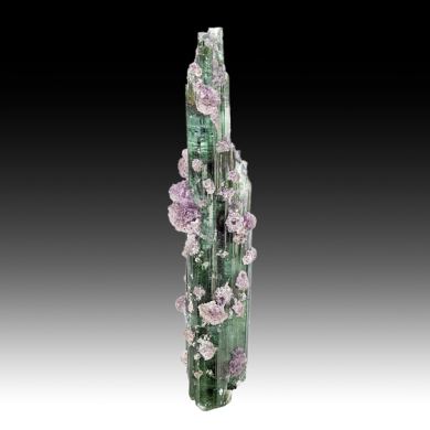 Elbaite with Lepidolite