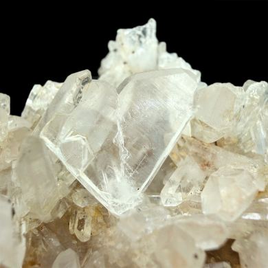 Quartz – Japan Law Twin – Fairy Wings