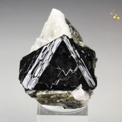SPINEL