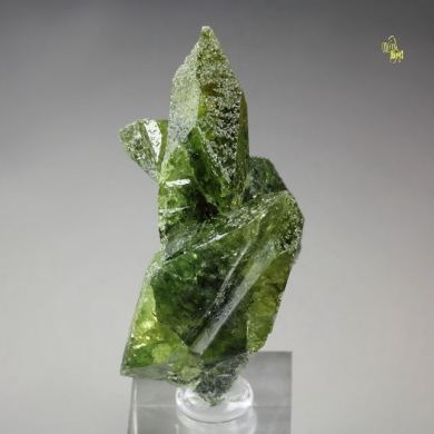 gem TITANITE twinned with CLINOCHLORE inclusions