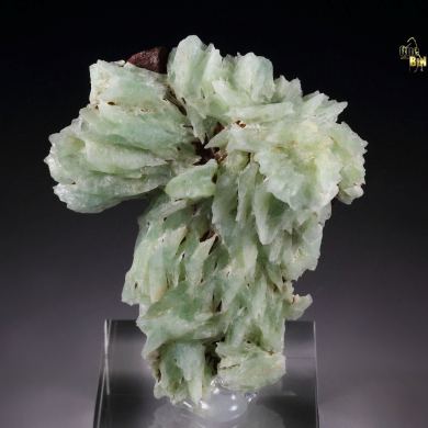 PHOSPHOPHYLLITE twinned