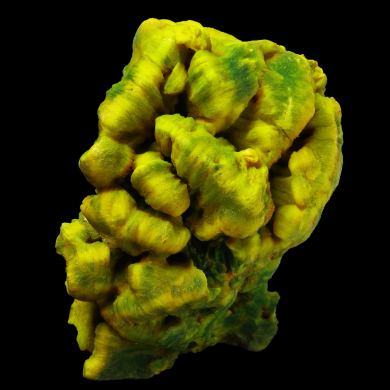 Autunite China 