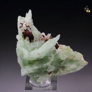 PHOSPHOPHYLLITE