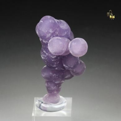 QUARTZ var. AMETHYST - grape agate