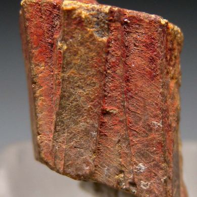 Euxenite