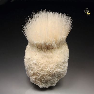 MESOLITE