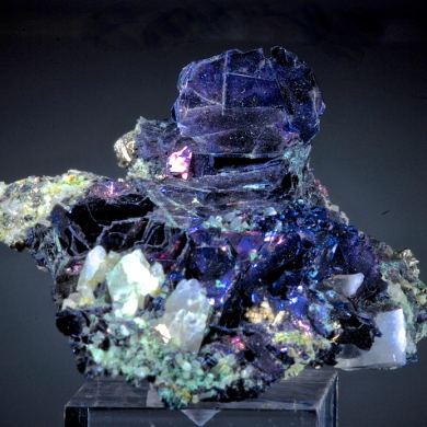 Covellite with Pyrite and Quartz