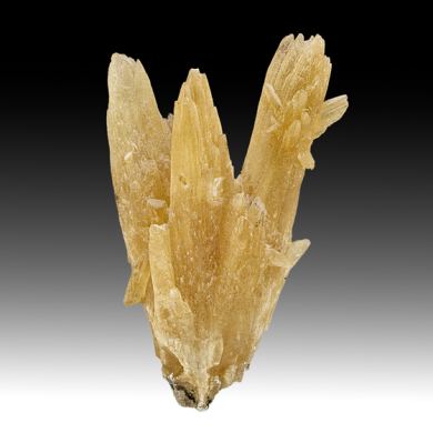 Aragonite