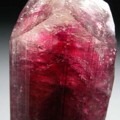 Liddicoatite