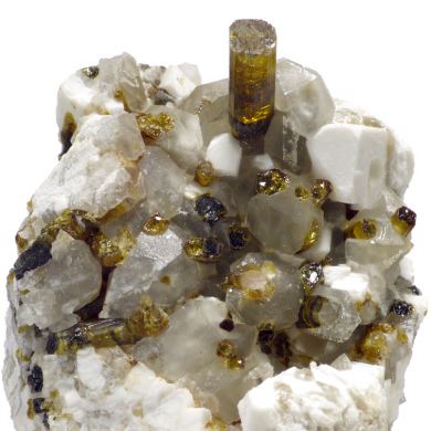Tourmaline elbaite, albite, microcline, quartz  MOROCCO!