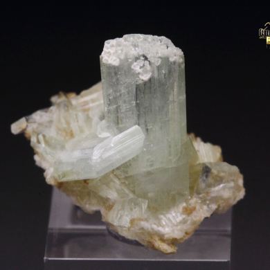 PARAVAUXITE