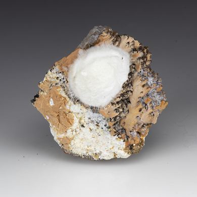 Minyulite with Variscite, Kaolinite