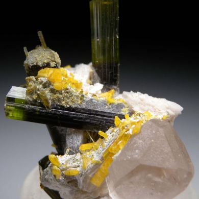 Stibiotantalite on Tourmaline, Topaz