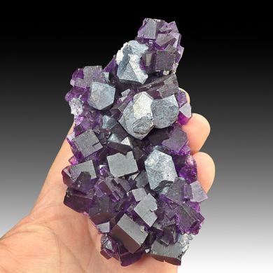 Galena with Fluorite