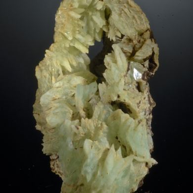 Phosphophyllite - crystals in fossil clamshell cast.