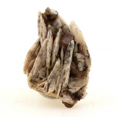 Wulfenite + Baryte.