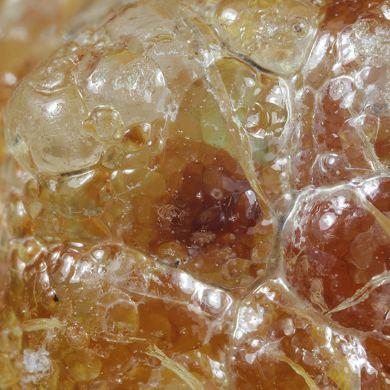 Opale / (variété - « Opal-AN ») / (variété - « Hyalite Opal ») / (« Blood Vessel Opal ») / Localité - San Luis Potosi, Mexique