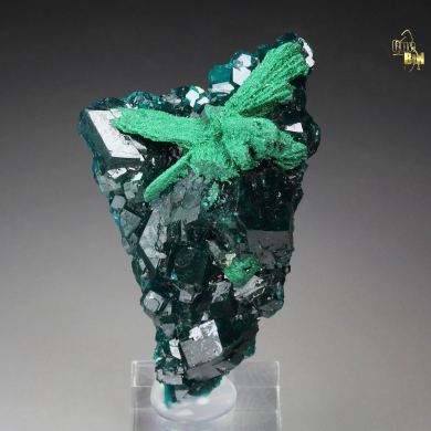 DIOPTASE, MALACHITE pseudomorph